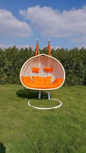 صورة bird-nest-hanging-swing-2-seater
